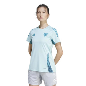 Camisa Feminina Treino Cruzeiro 2025