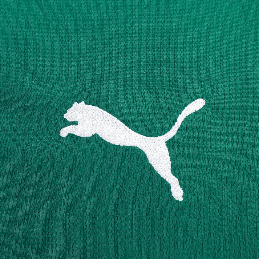 LANÇAMENTO Camisa Masculina Palmeiras I 2025/26