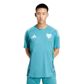 Camisa Masculina Treino Cruzeiro 2024/2025 - Torcedor