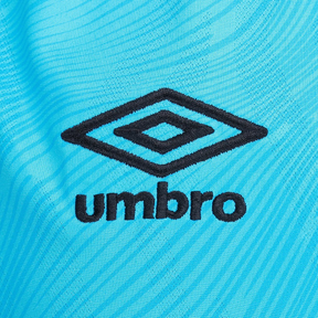 CAMISA PEIXE AZUL EDIÇÃO ESPECIAL 2025/26 TORCEDOR MASCULINA